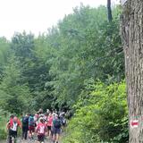 IMG-20230706-WA0070.jpg
