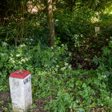 07-07-2023 - DSC00184.jpg